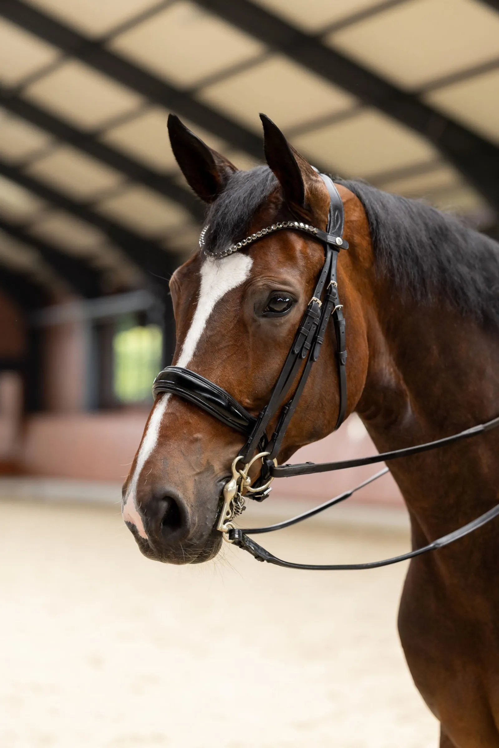 Horze Glamourdale Weymouth Kandare* Trensen & Nasenriemen