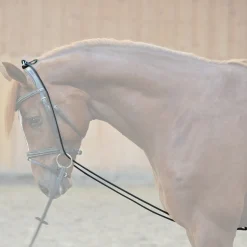 Kavalkade Halsverlängerer* Longier- Und Trainingsausrüstung|Longen & Longierhilfen
