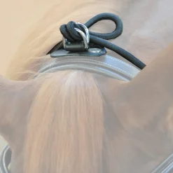 Kavalkade Halsverlängerer* Longier- Und Trainingsausrüstung|Longen & Longierhilfen