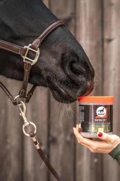 Leovet Hamba Vet, 700g* Ergänzungsfuttermittel Für Pferde