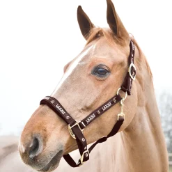 Horze Hamptons Halfter* Halfter