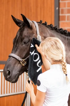 Horze Handtuch* Geschenkartikel