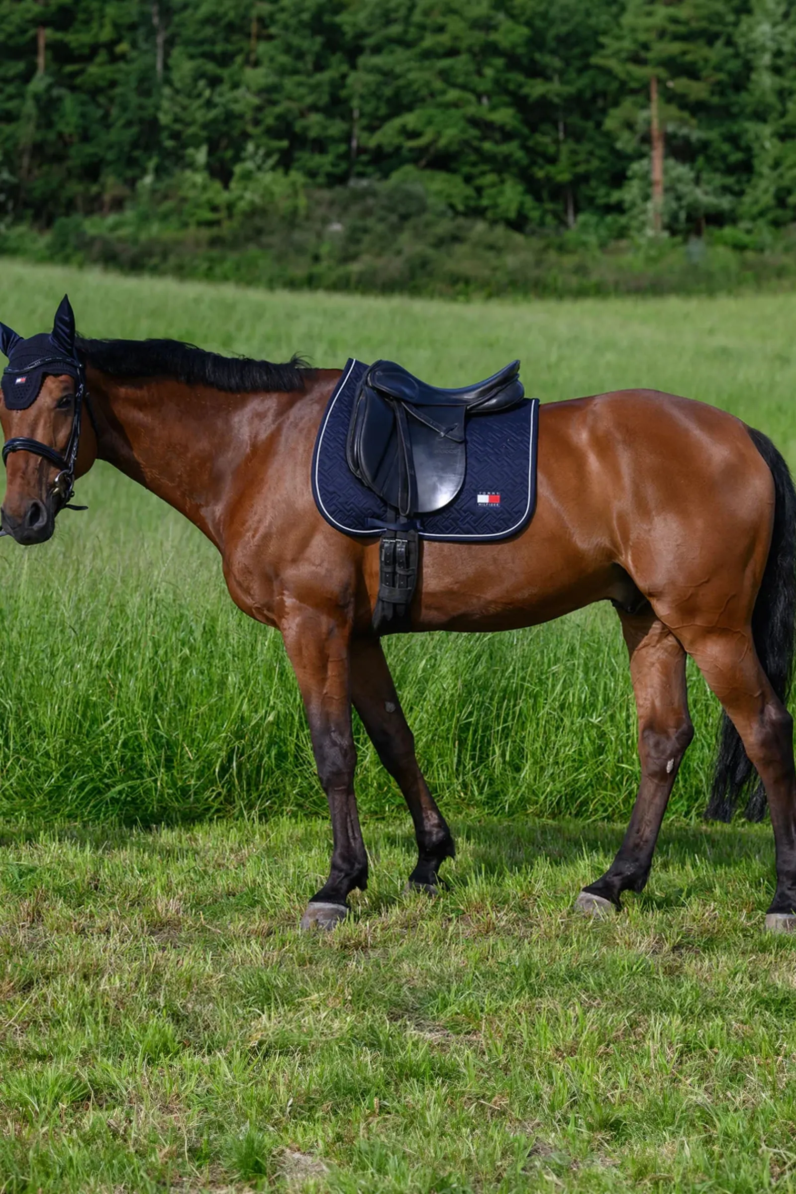 Tommy Hilfiger Equestrian Harvard Dressurschabracke* Dressurschabracken