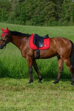 Tommy Hilfiger Equestrian Harvard Dressurschabracke* Dressurschabracken