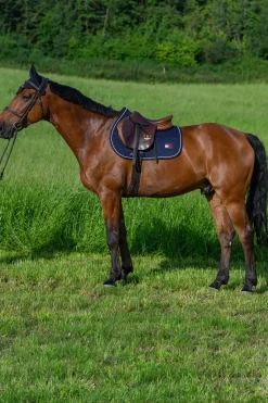 Tommy Hilfiger Equestrian Harvard Springschabracke* Spring- & Vielseitigkeitsschabracken