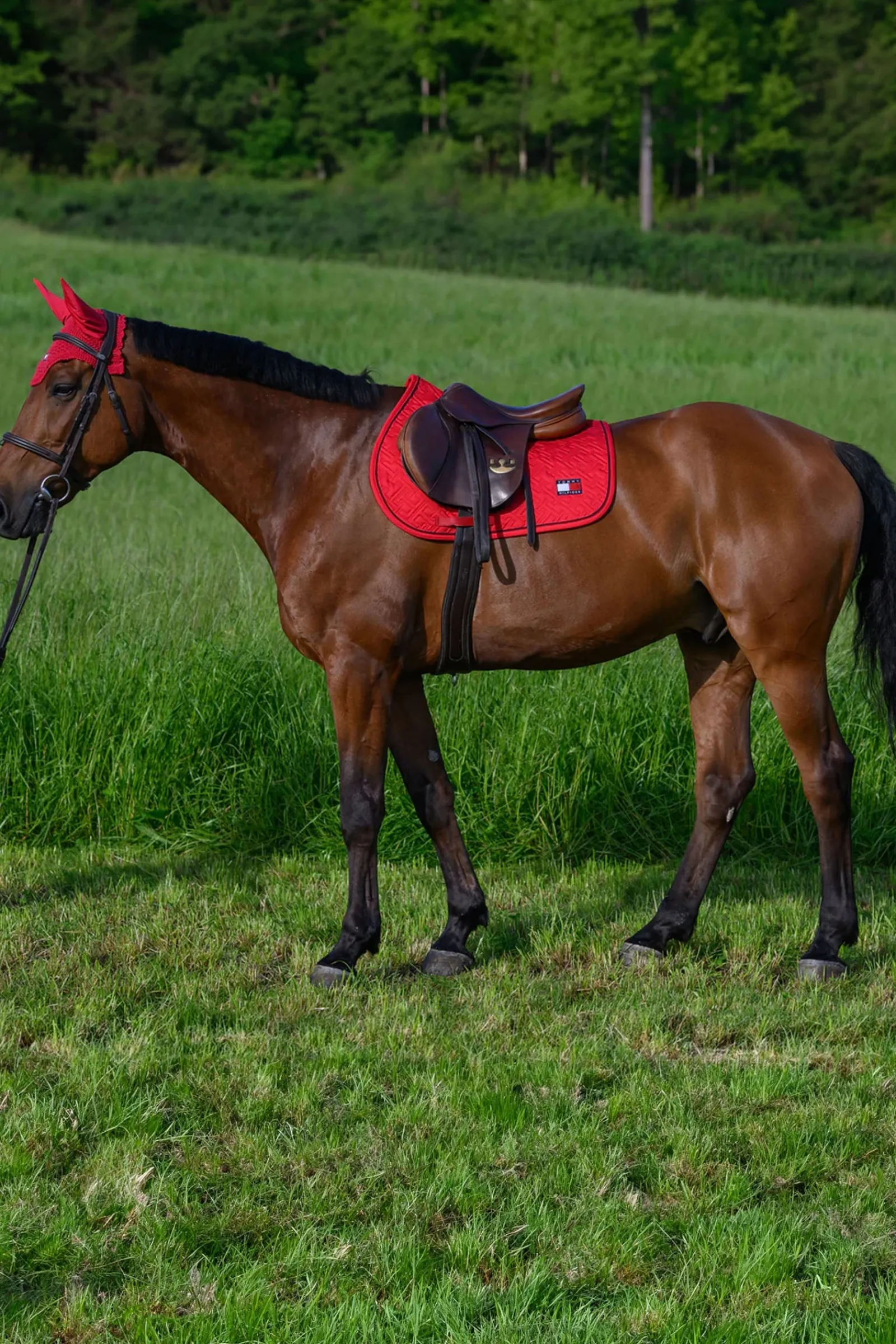 Tommy Hilfiger Equestrian Harvard Springschabracke* Spring- & Vielseitigkeitsschabracken