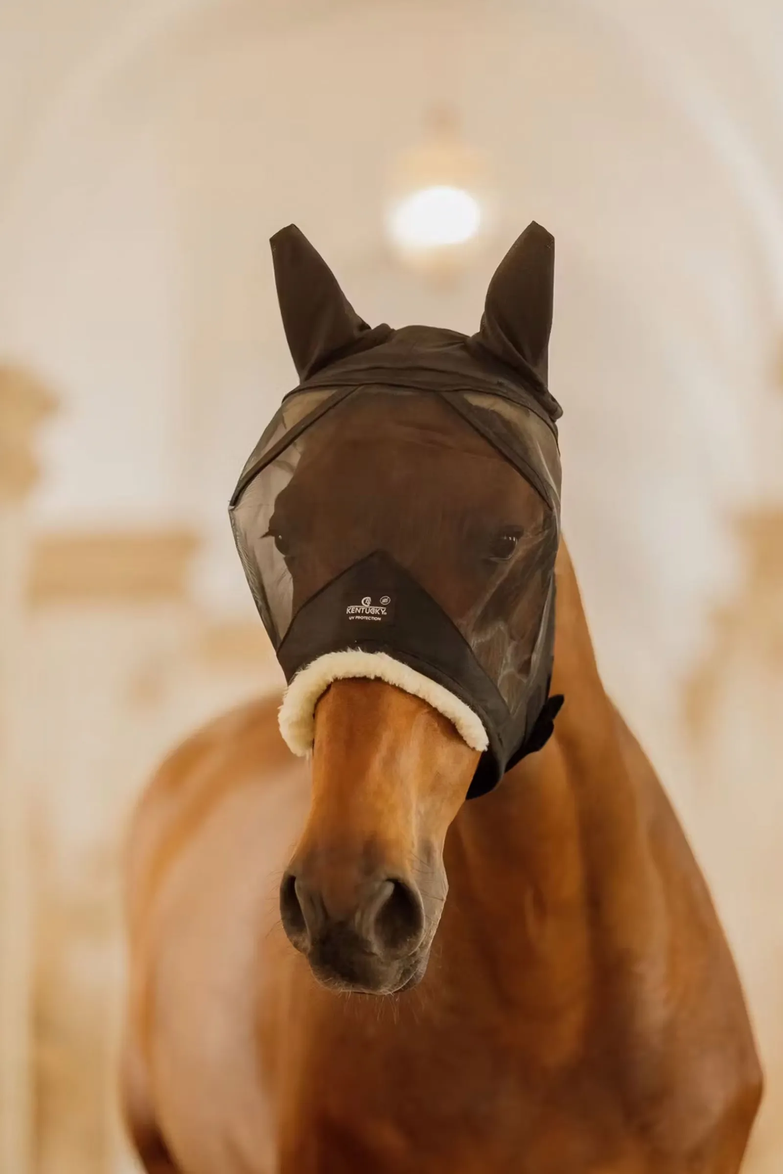 Kentucky Horsewear hautfreundliche Fliegemaske mit Ohren* Fliegenmasken & Fliegenfransen