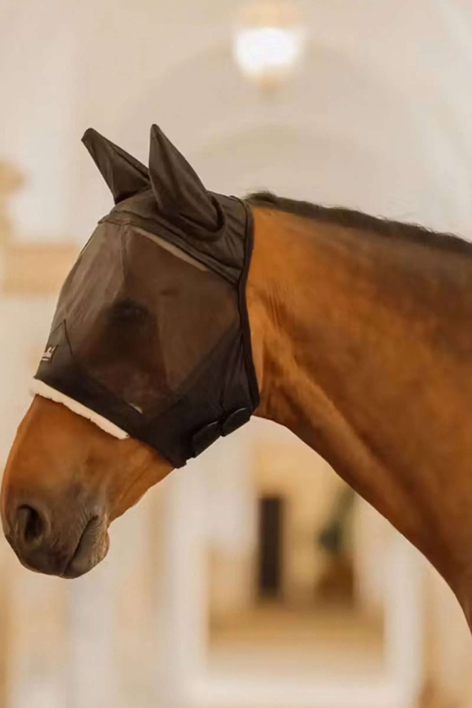 Kentucky Horsewear hautfreundliche Fliegemaske mit Ohren* Fliegenmasken & Fliegenfransen