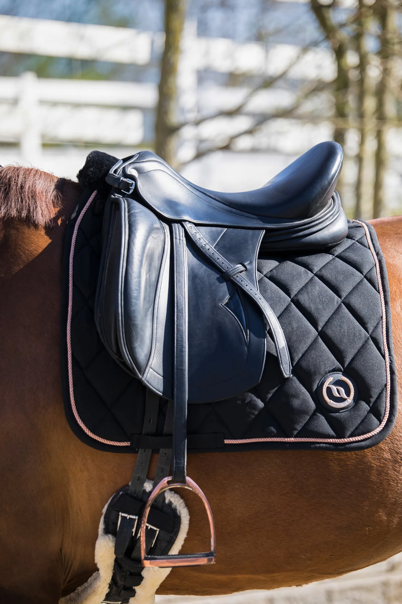 Back on Track Haze Kollektion Dressur Schabracke* Dressurschabracken