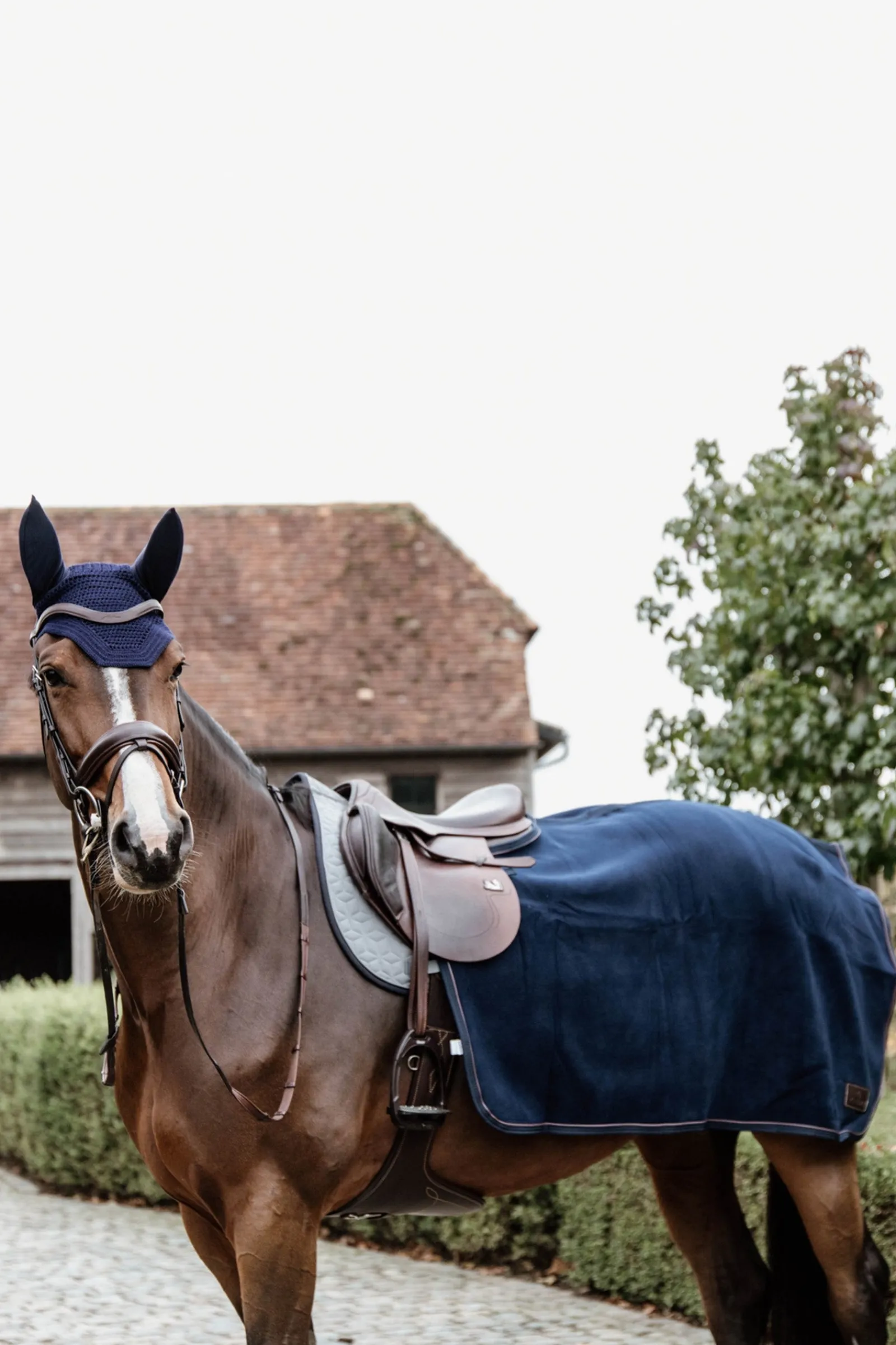 Kentucky Horsewear Heavy Fleece Nierendecke* Reit- & Nierendecken