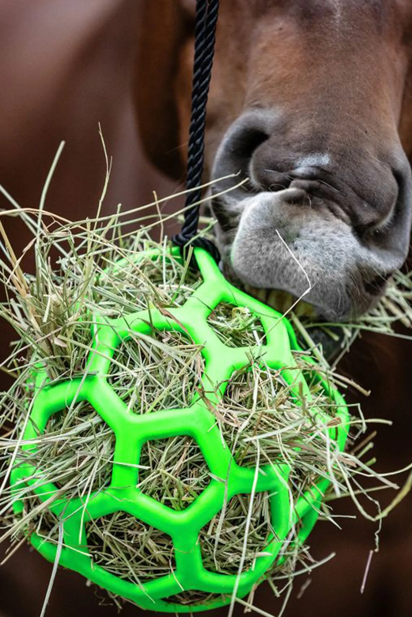 Waldhausen Heuball* Heunetze & Heutaschen