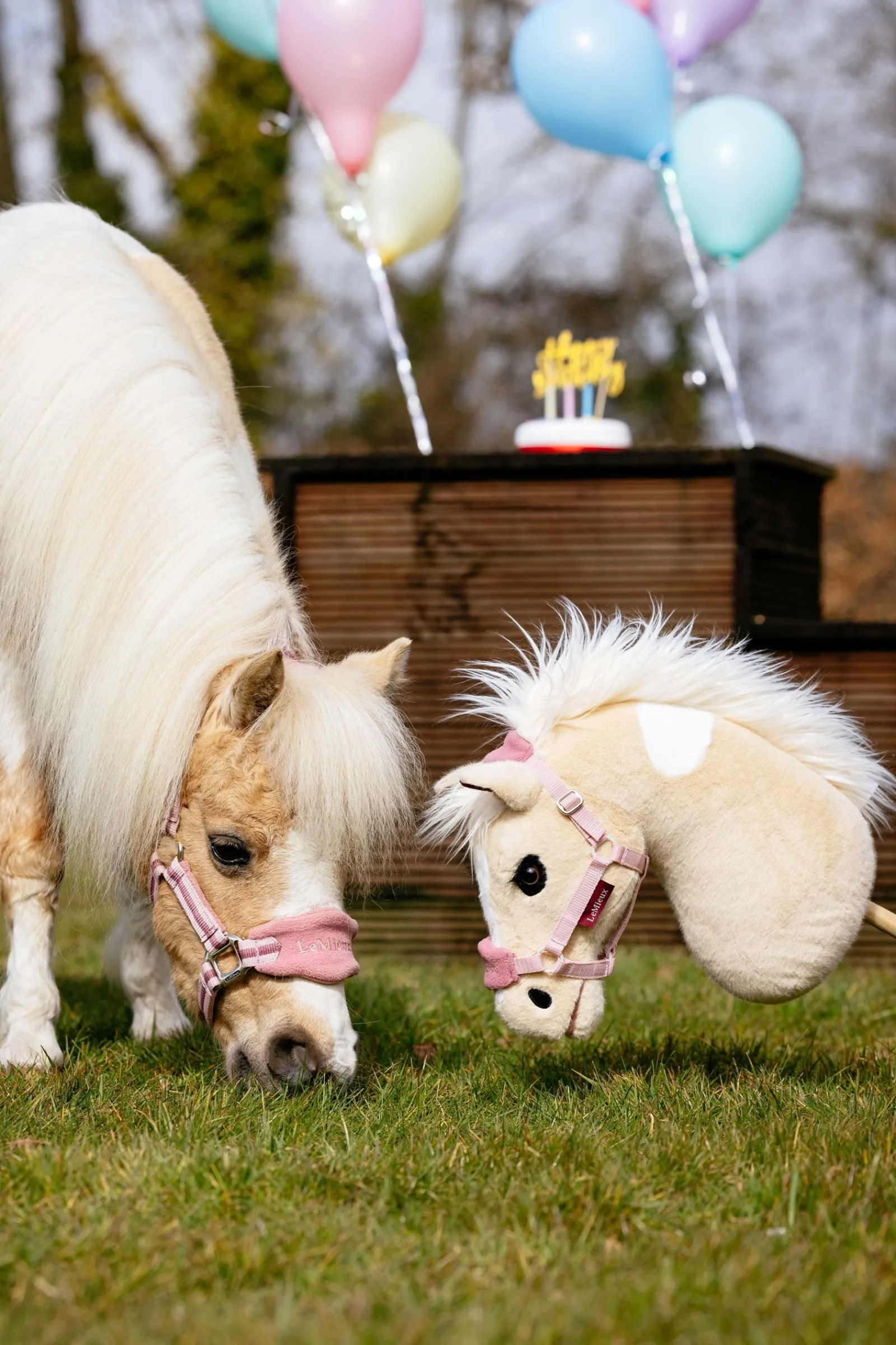 LeMieux Hobby Horse* Geschenkartikel