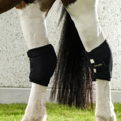 Back on Track Hock Gamasche, rechts* Sprung- & Karpalgelenkschoner