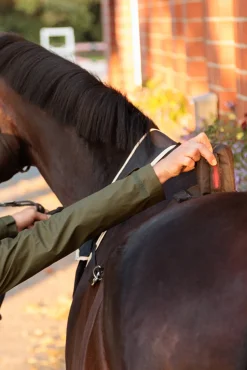 Kavalkade Horselight Bauchgurt mit rotem Rücklicht* Reflexausrüstung