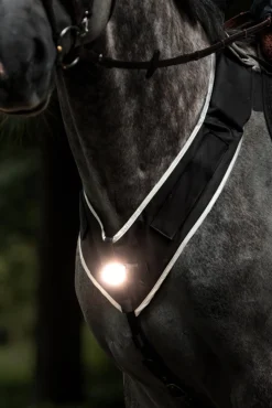 Kavalkade Horselight Vorderzeug mit weißem Frontlicht* Reflexausrüstung
