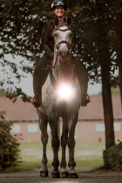 Kavalkade Horselight Vorderzeug- und Sattelleuchte, Set 1* Reflexausrüstung