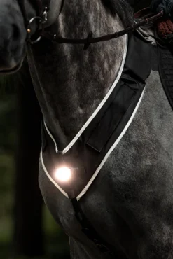 Kavalkade Horselight Vorderzeug- und Sattelleuchte sowie Beinmanschetten, Set 2* Reflexausrüstung