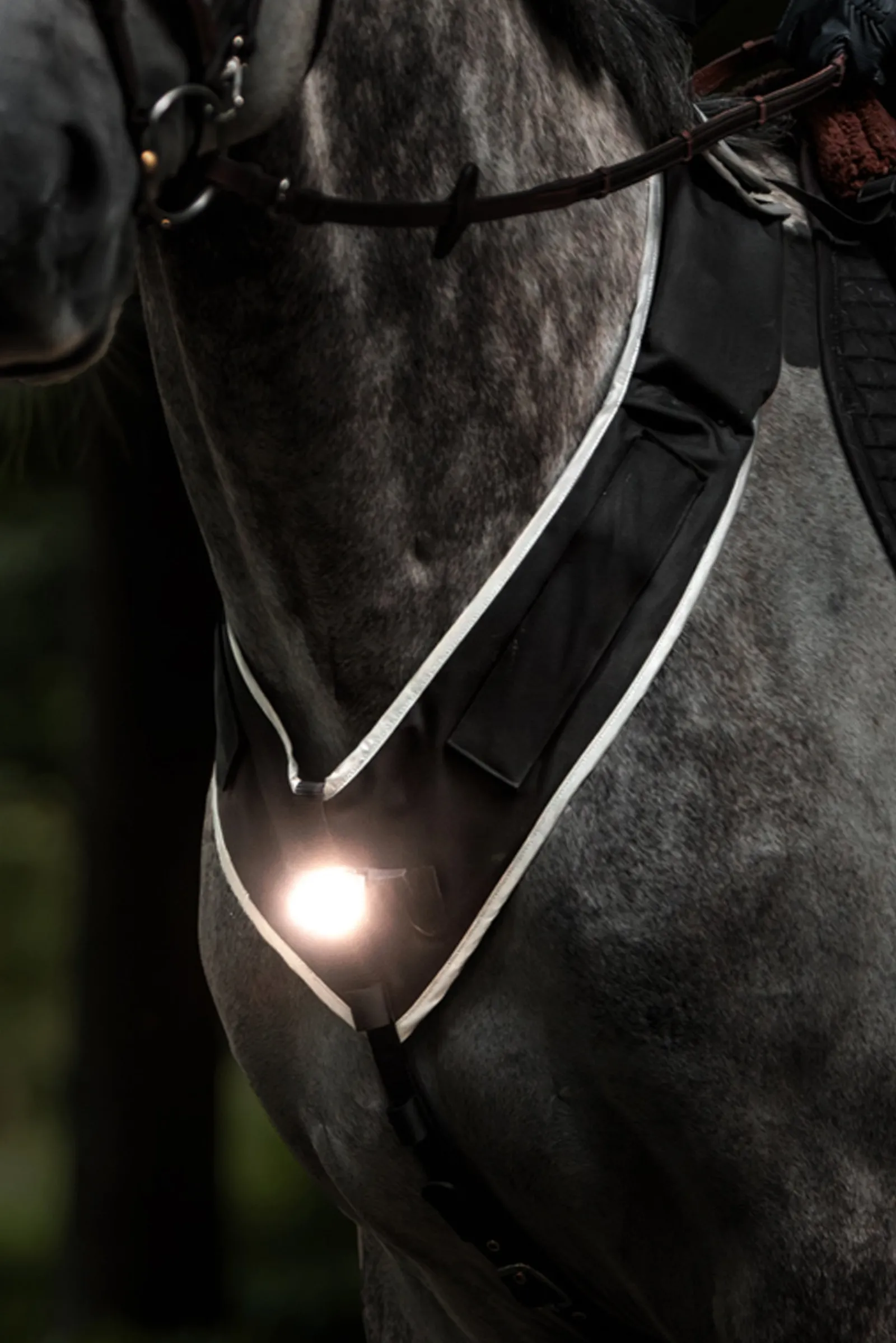 Kavalkade Horselight Vorderzeug- und Sattelleuchte sowie Beinmanschetten, Set 2* Reflexausrüstung