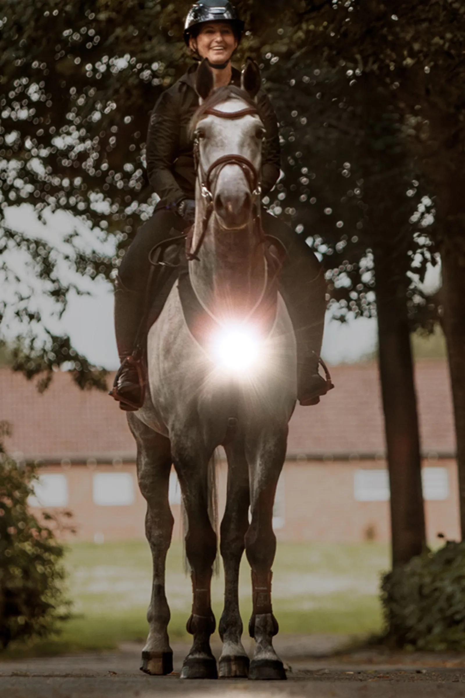 Kavalkade Horselight Vorderzeug- und Sattelleuchte sowie Beinmanschetten, Set 2* Reflexausrüstung