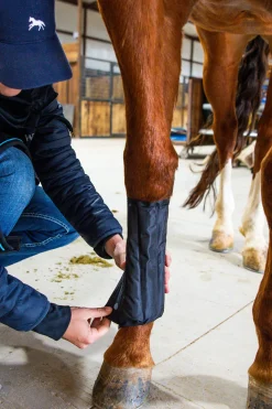 Horseware Ice-Vibe Gamaschen* Therapie- & Kühlgamaschen