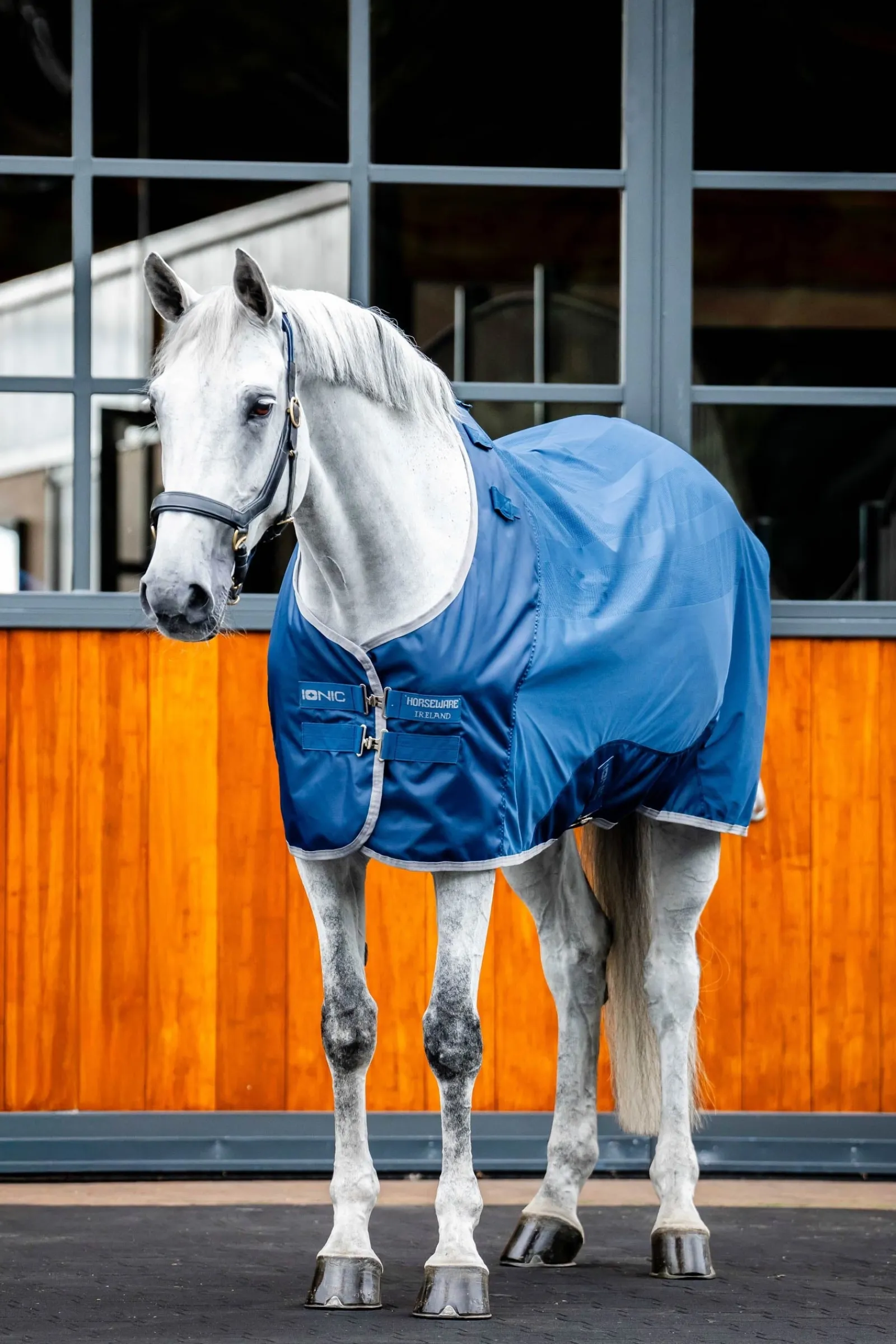 Horseware Ionic Therapy Mesh Abschwitzdecke* Therapie-Decken|Therapie-Decken