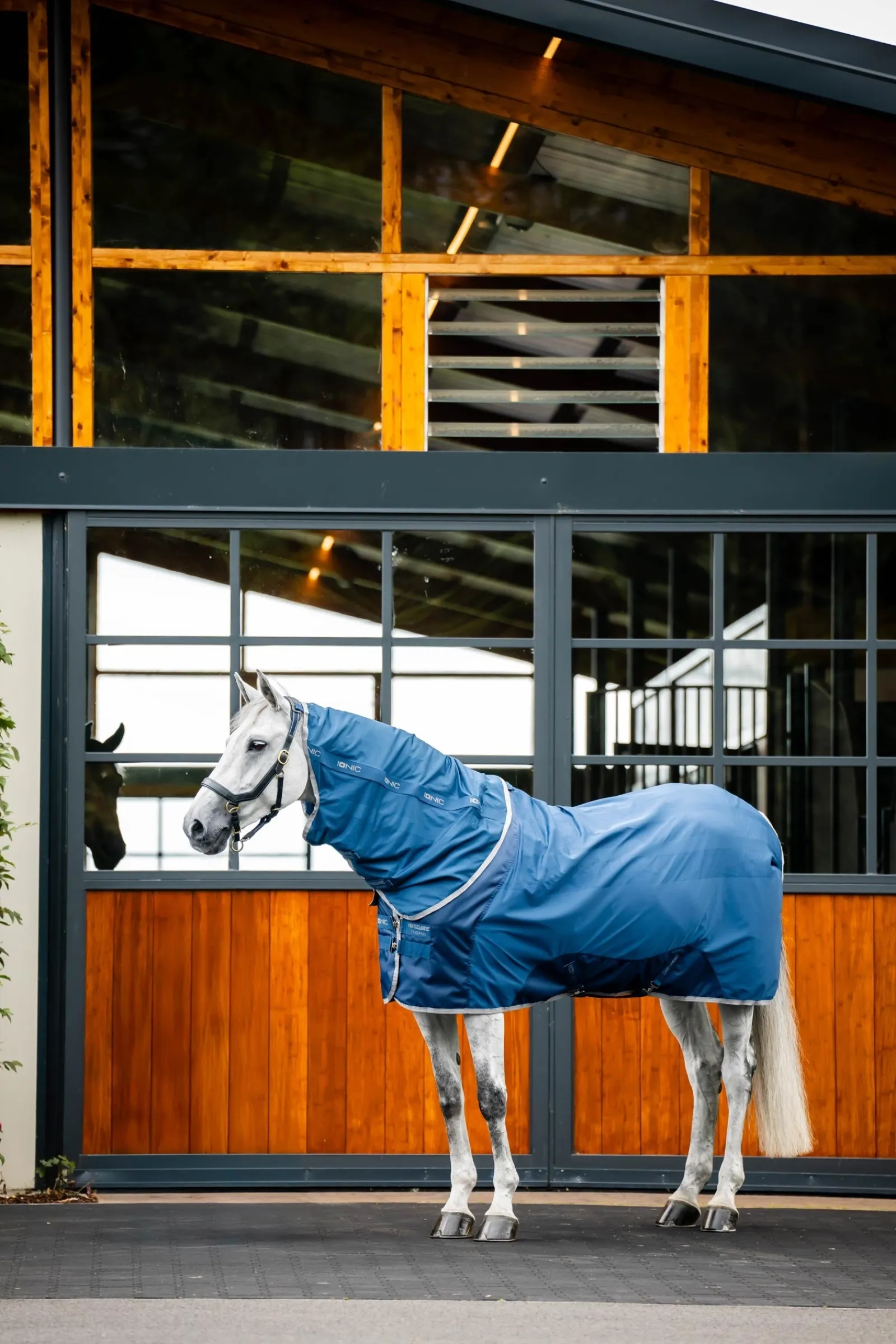 Horseware Ionic Therapy Mesh Abschwitzdecke* Therapie-Decken|Therapie-Decken