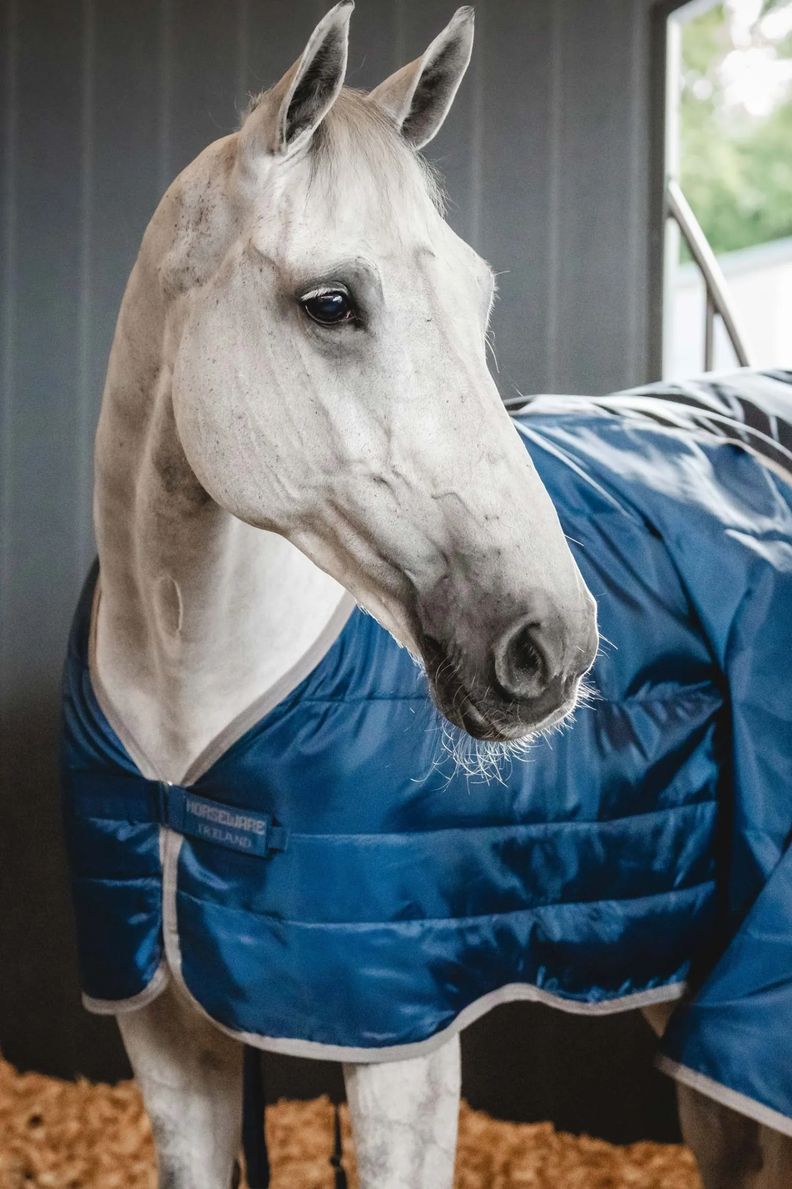 Horseware Ionic Therapy Unterdecke 50g* Therapie-Decken|Therapie-Decken