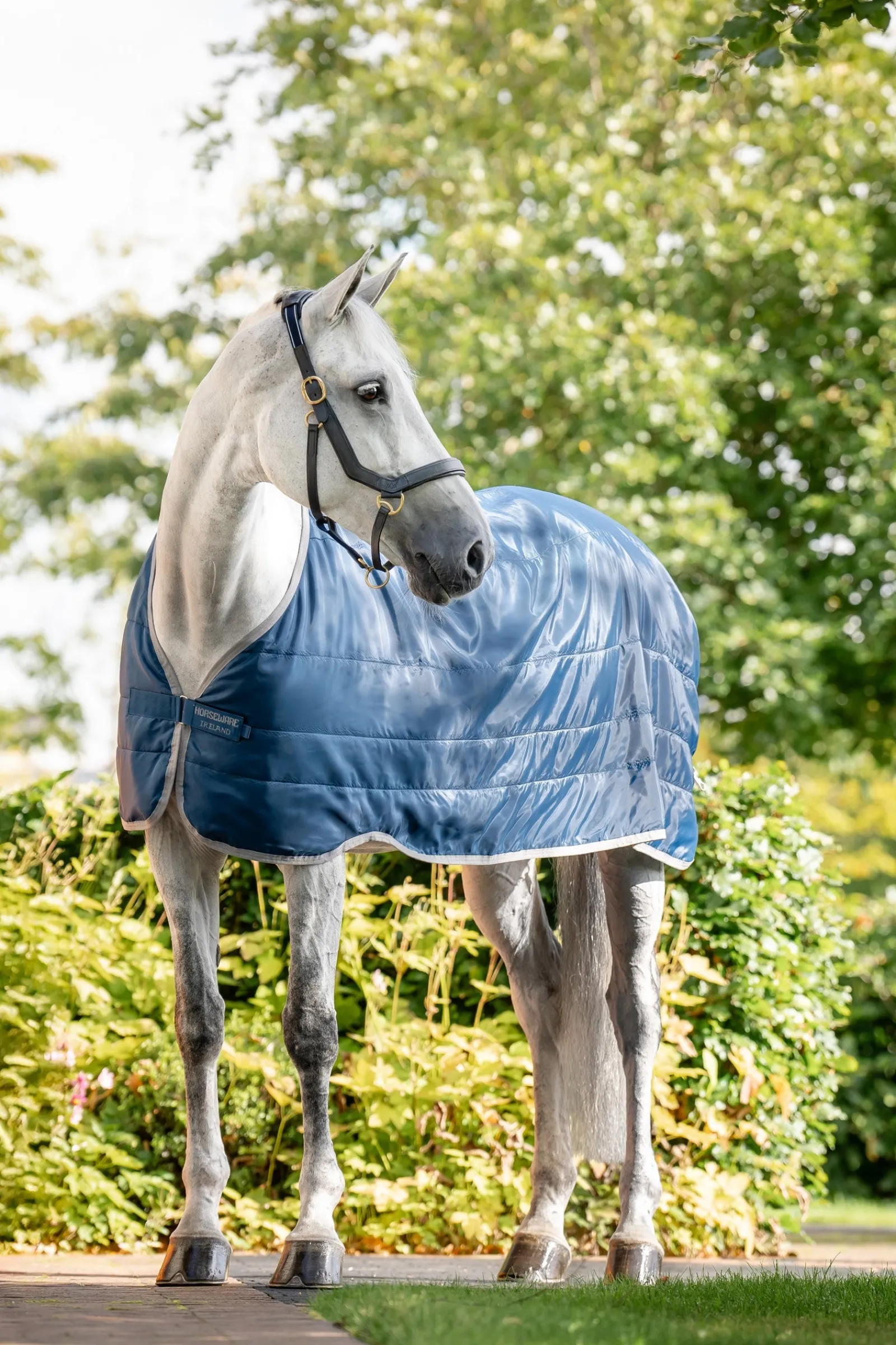 Horseware Ionic Therapy Unterdecke 200 g* Therapie-Decken|Therapie-Decken