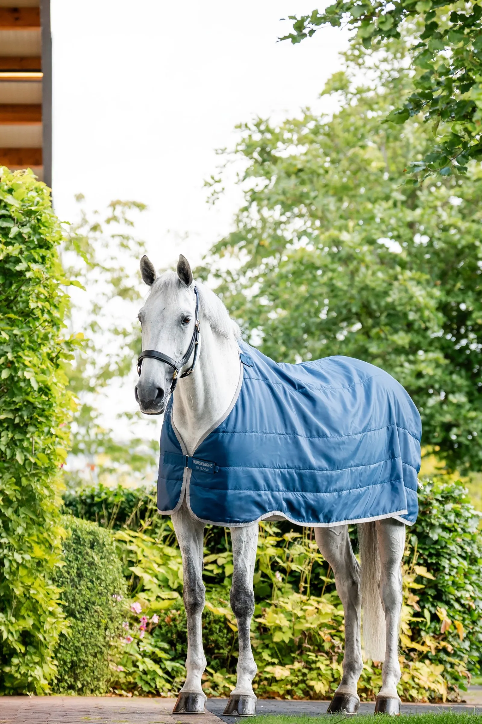Horseware Ionic Therapy Unterdecke 200 g* Therapie-Decken|Therapie-Decken