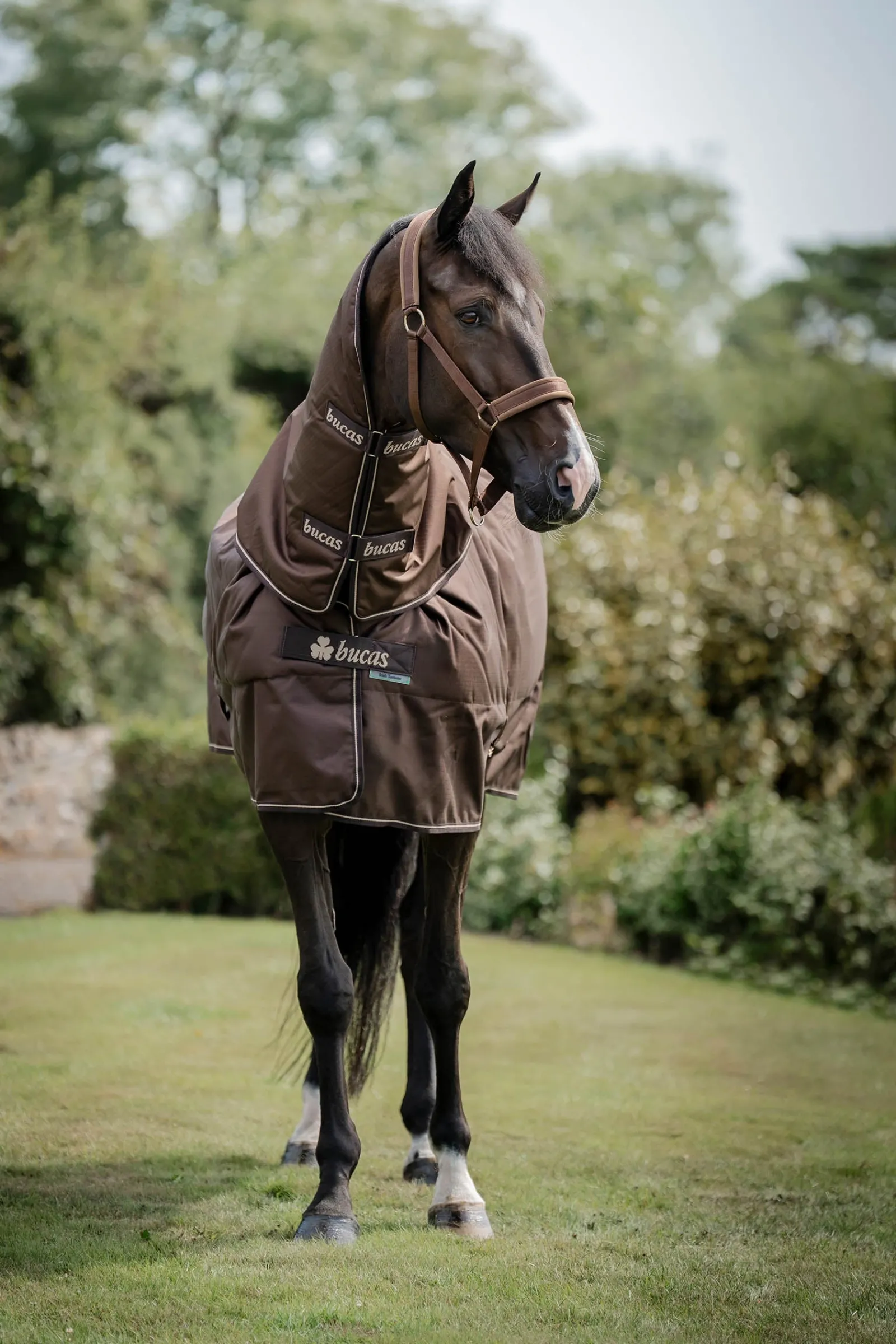 Bucas Irish Turnout 150 g Rug & Neck Set* Mittelschwere & Schwere Winterdecken