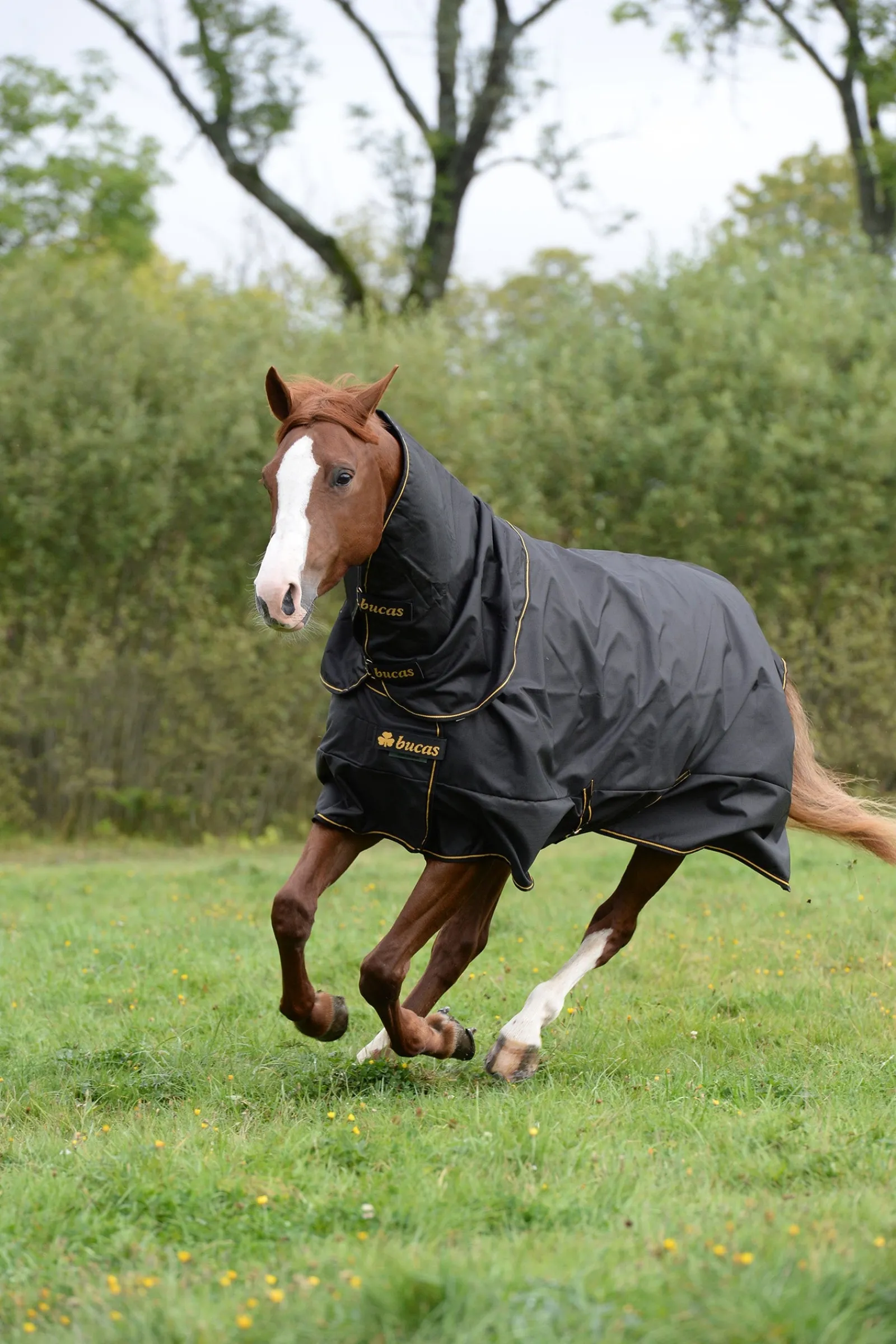 Bucas Irish Turnout Extra Pony Winterdecke, 300g* Ponydecken|Ponydecken