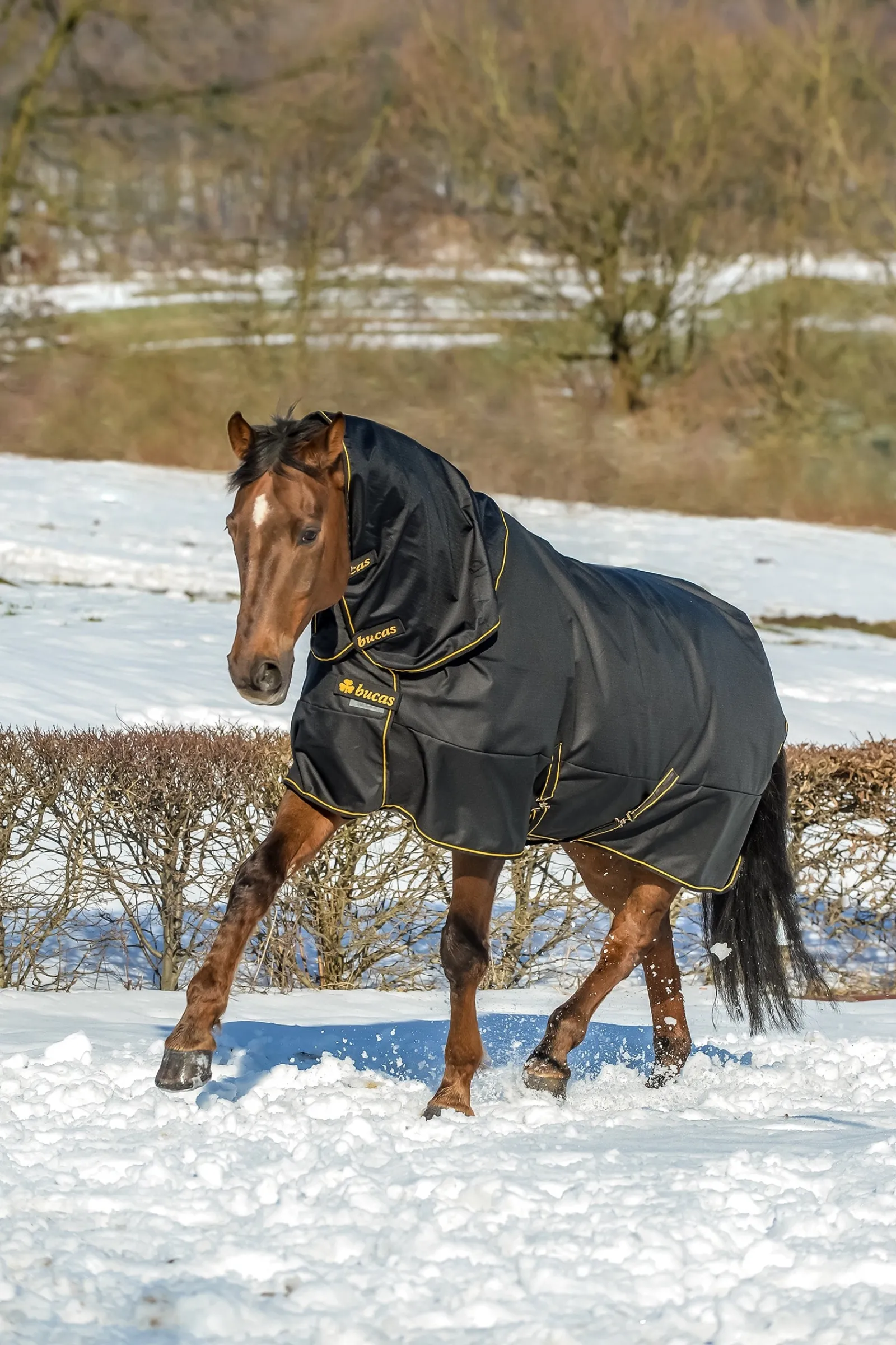 Bucas Irish Turnout Extra Pony Winterdecke, 300g* Ponydecken|Ponydecken