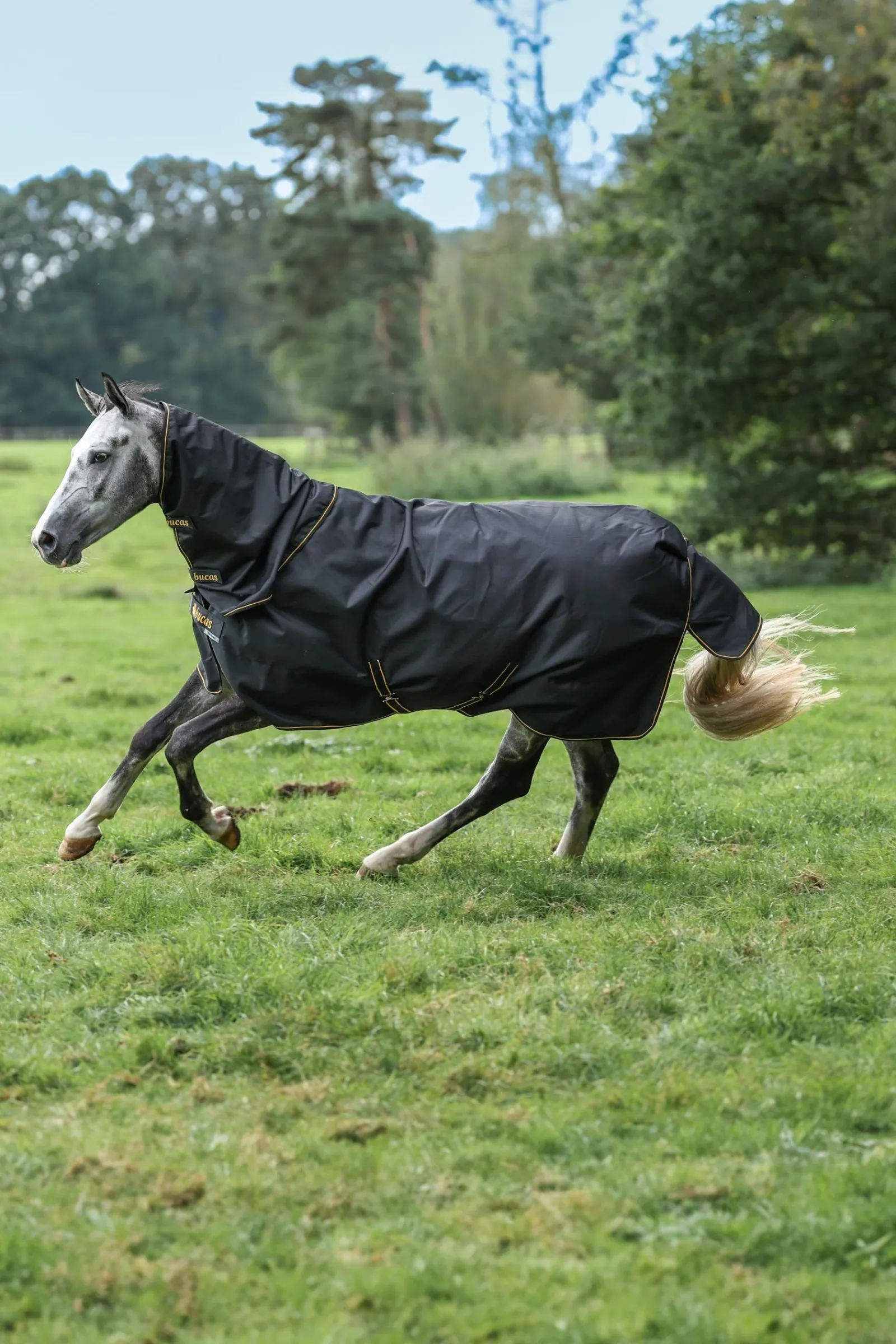 Bucas Irish Turnout Halsteil, 0g* Halsteile