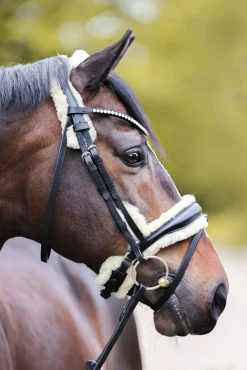 Kavalkade Joyce KavalSH4 Trense* Trensen & Nasenriemen