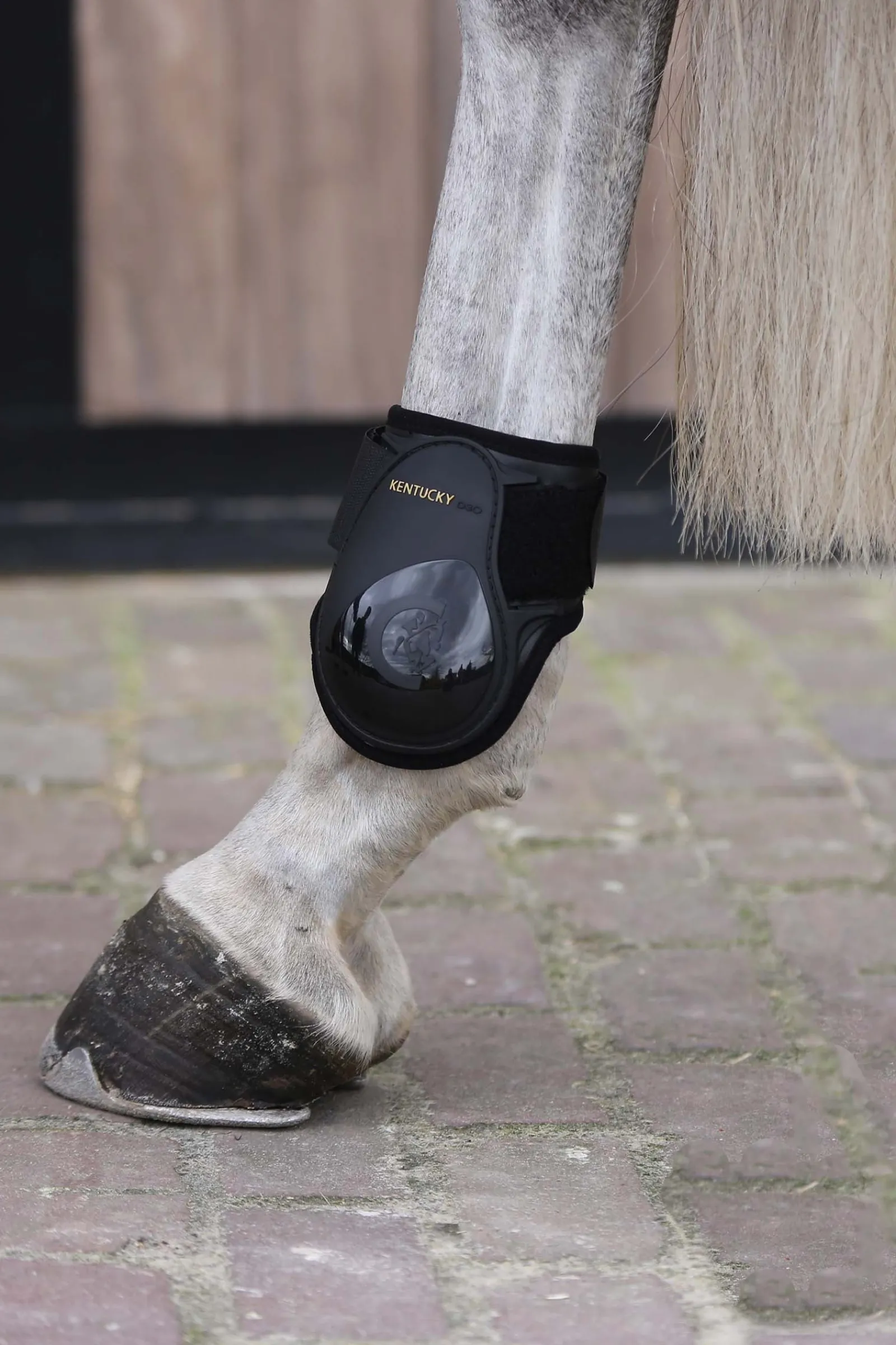 Kentucky Horsewear Jungpferde Streichkappe* Streichkappen