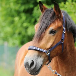 Kavalkade Kaltblut Classic Halfter* Halfter