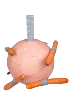 Waldhausen Karottenball* Reithallen-Zubehör|Pferdespielzeug