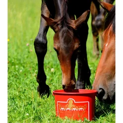 Kevin's Bacon Kevin Bacon's Hoof Formula* Ergänzungsfuttermittel Für Pferde