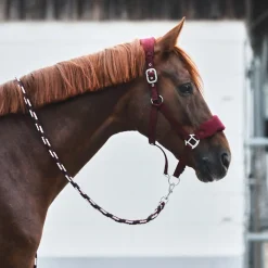 Horze Kiel Halfter mit Fleece* Halfter