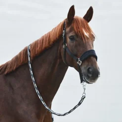 Horze Kiel Halfter mit Fleece* Halfter
