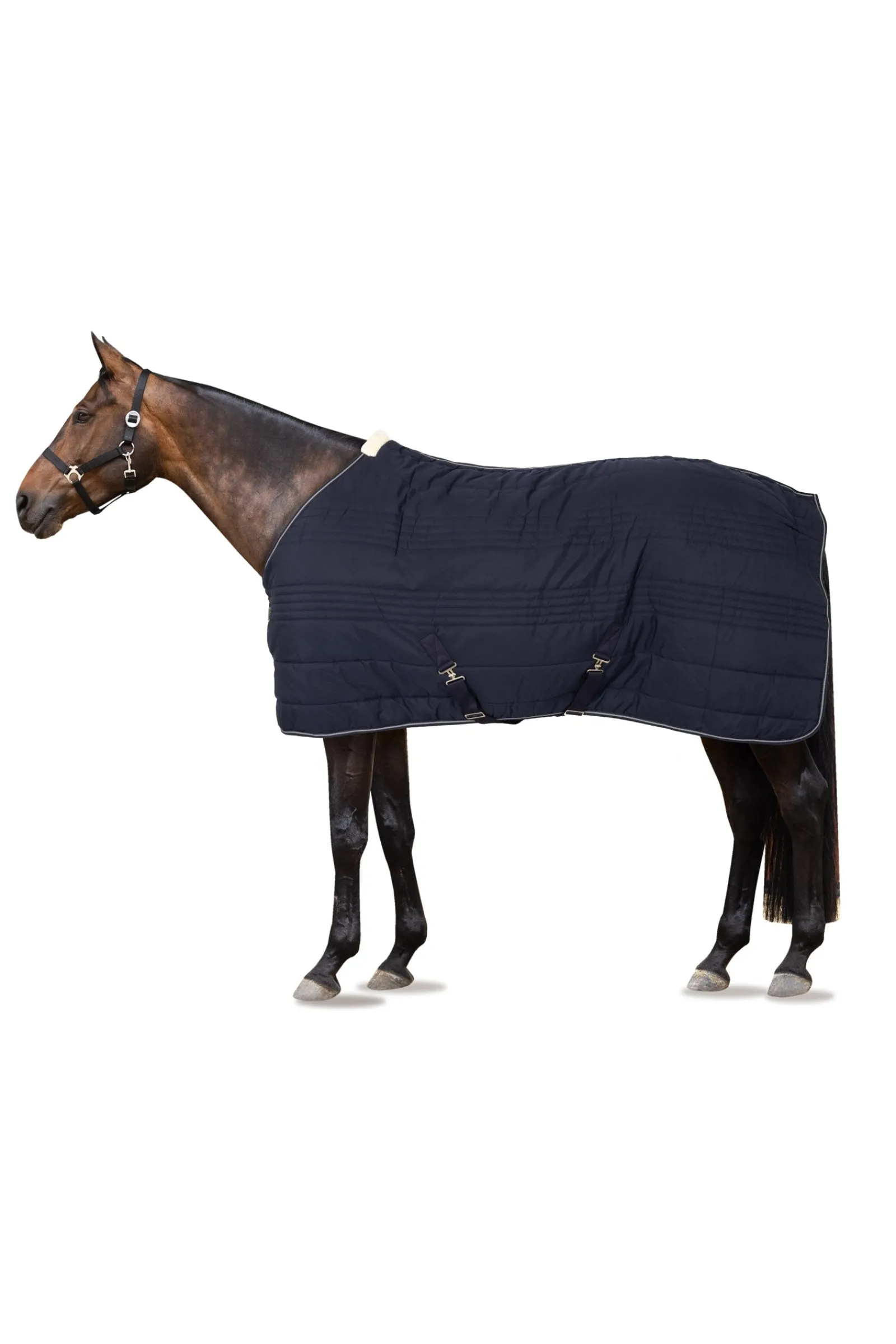 Horze Kingsley Stalldecke, 150 g* Stall- & Unterdecken