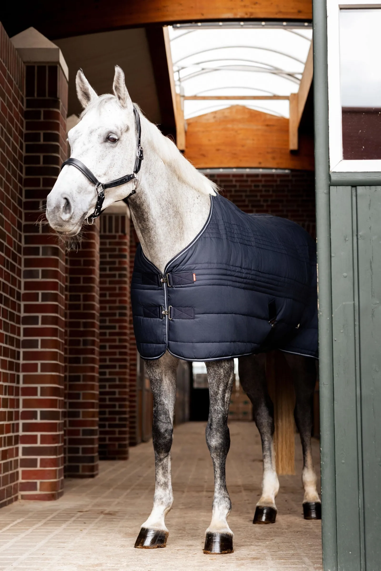 Horze Kingsley Stalldecke, 300g* Stall- & Unterdecken