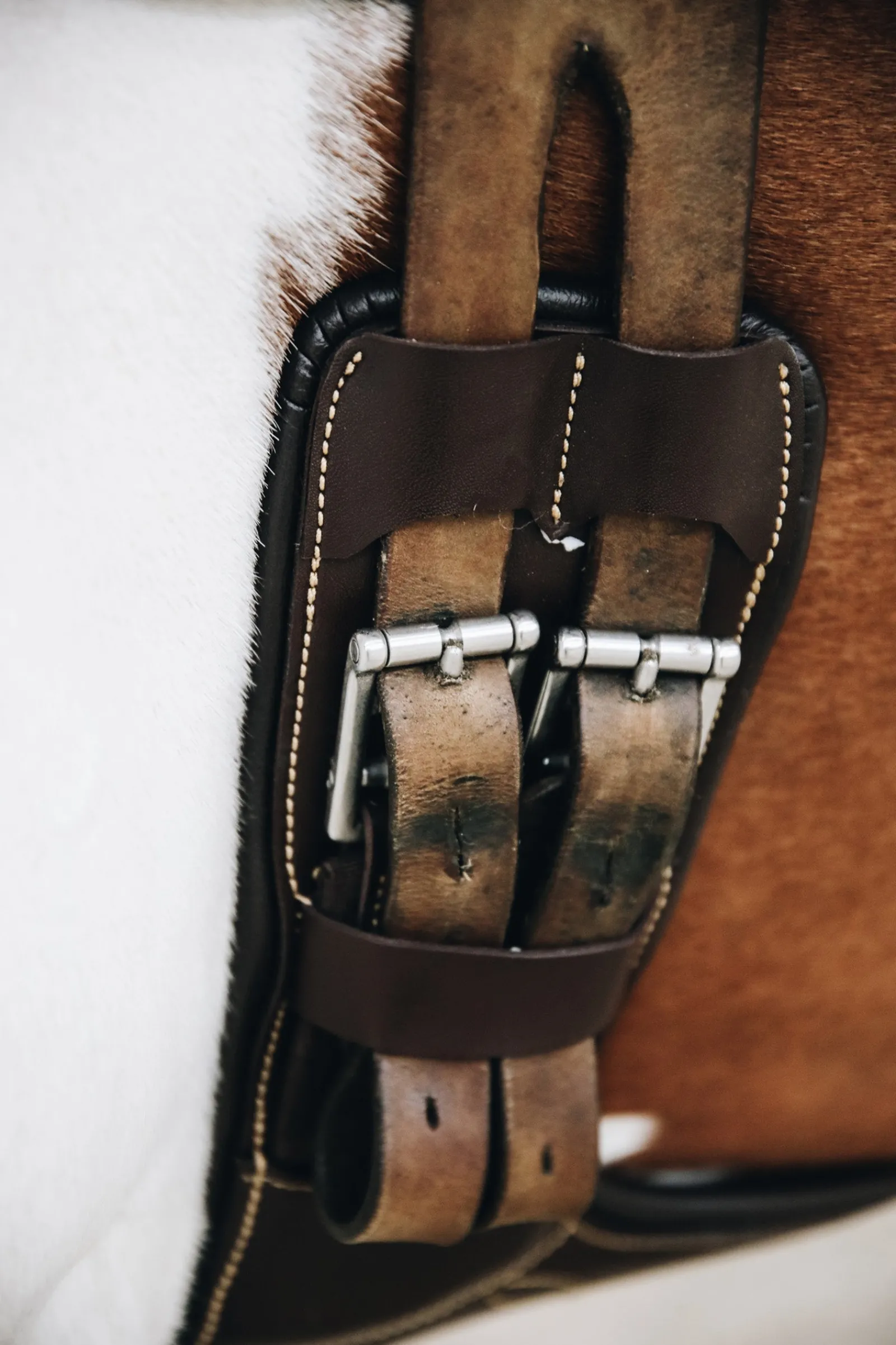 Kentucky Horsewear kurzer Stollenschutzsattelgurt* Sattelgurte