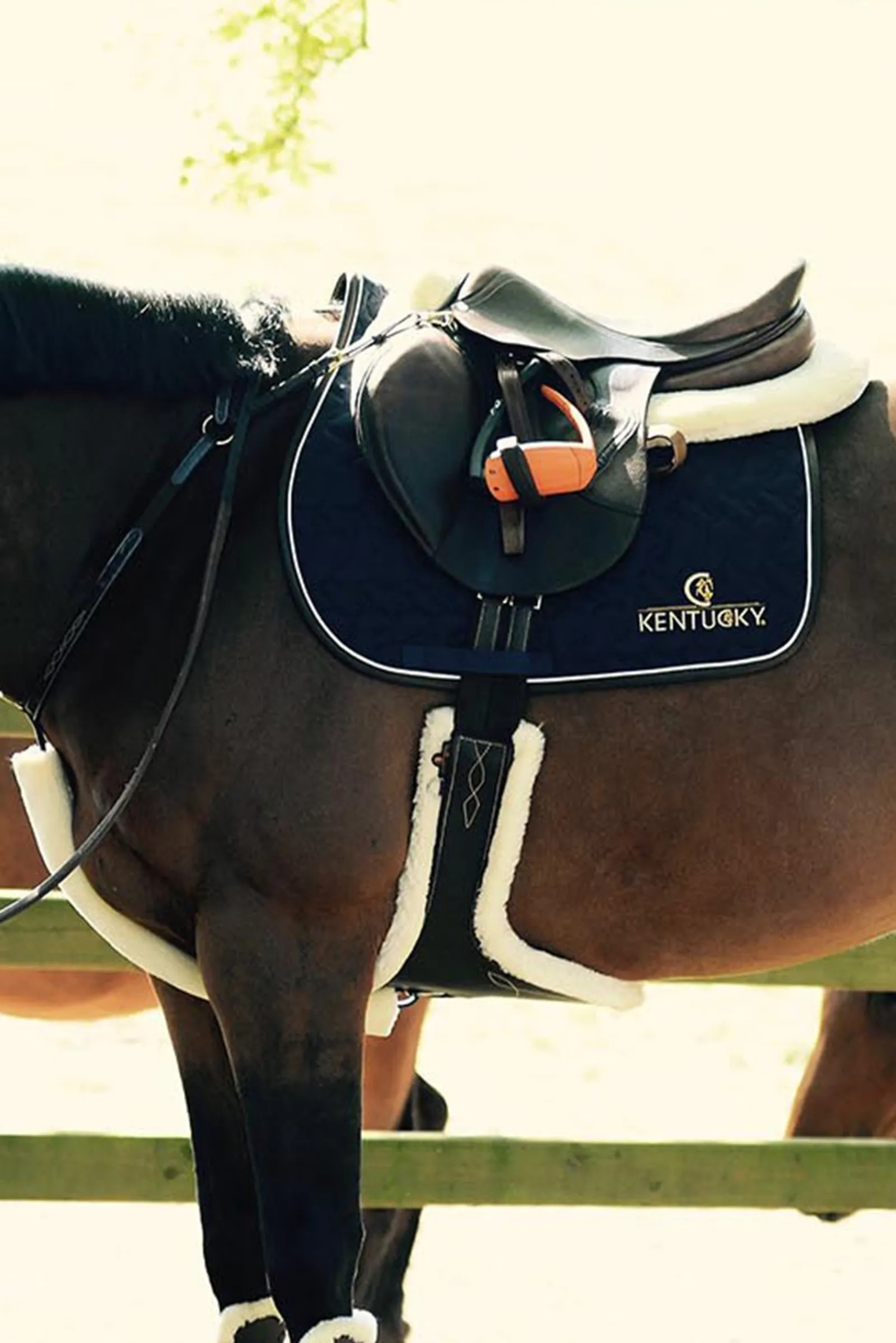 Kentucky Horsewear Lammfell Stollengurt* Sattelgurte