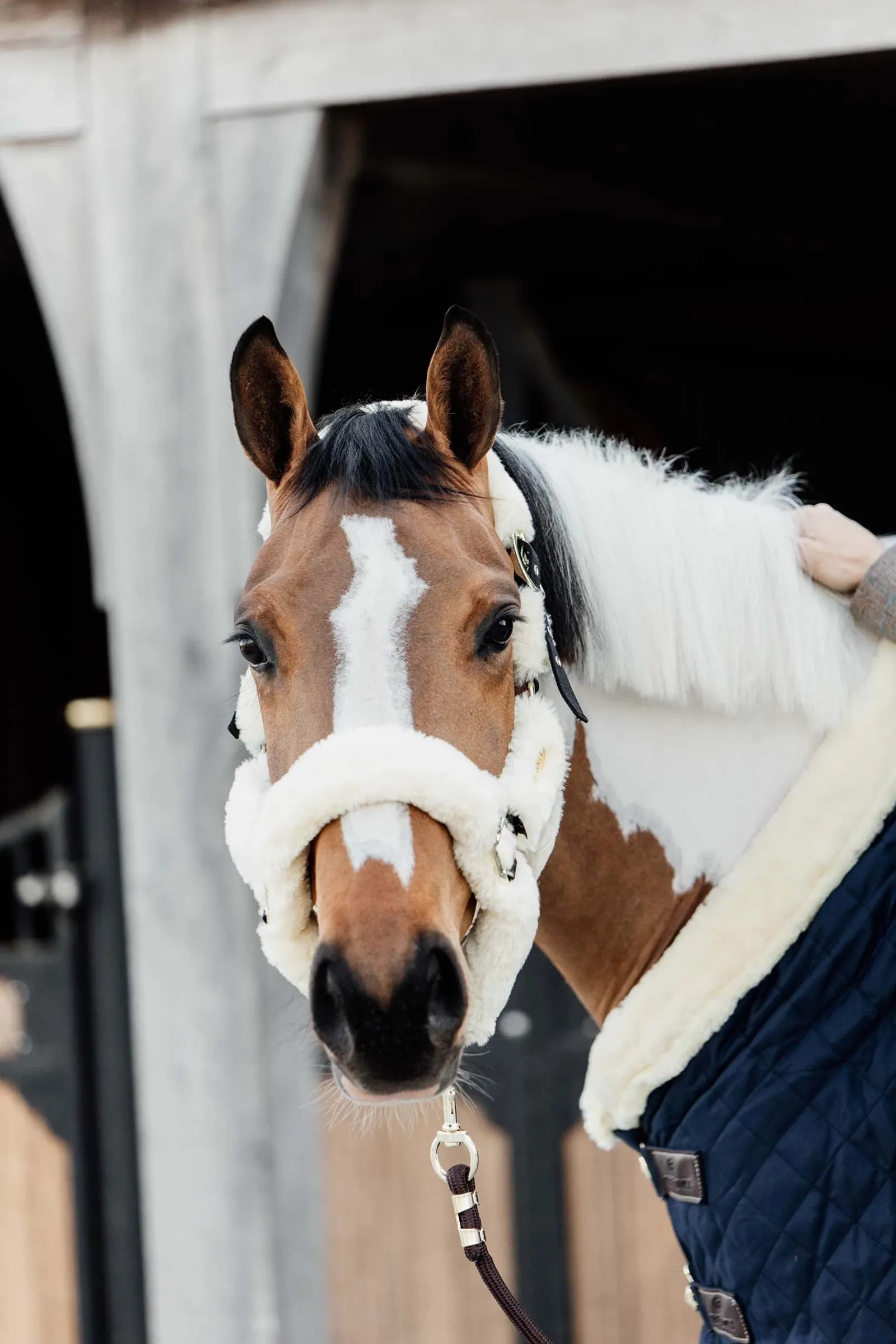 Kentucky Horsewear Lammfell Transport-Halfter* Halfter