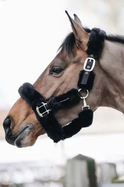 Kentucky Horsewear Lammfell Transport-Halfter* Halfter