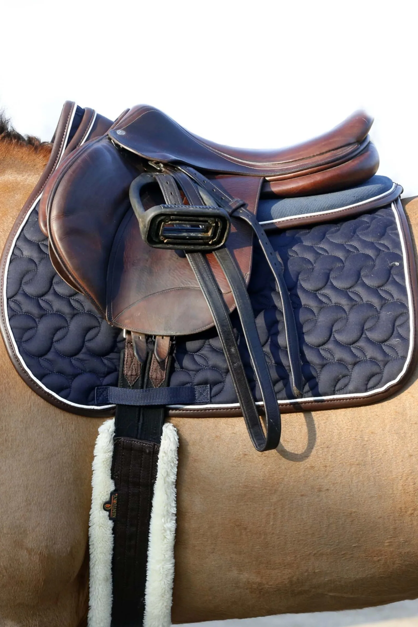 Kentucky Horsewear Lammfell-Gurt* Sattelgurte