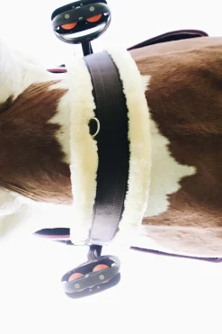 Kentucky Horsewear Lammfell-Gurt* Sattelgurte