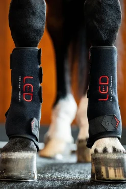 Horseware LED Rotlicht Therapie Gamasche (1 Stk.)* Therapie- & Kühlgamaschen