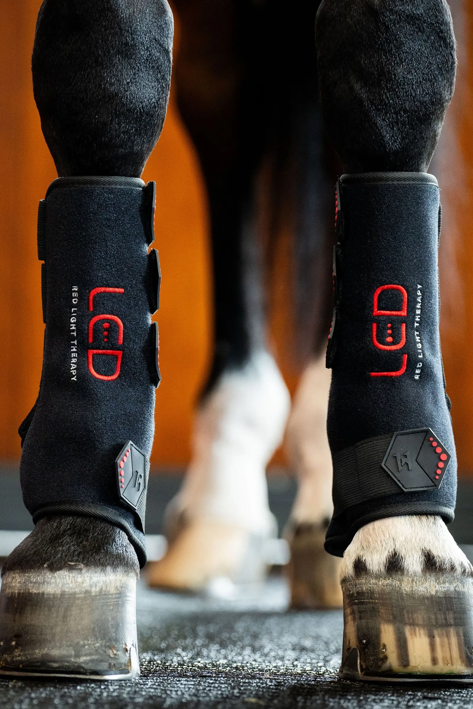 Horseware LED Rotlicht Therapie Gamasche (1 Stk.)* Therapie- & Kühlgamaschen